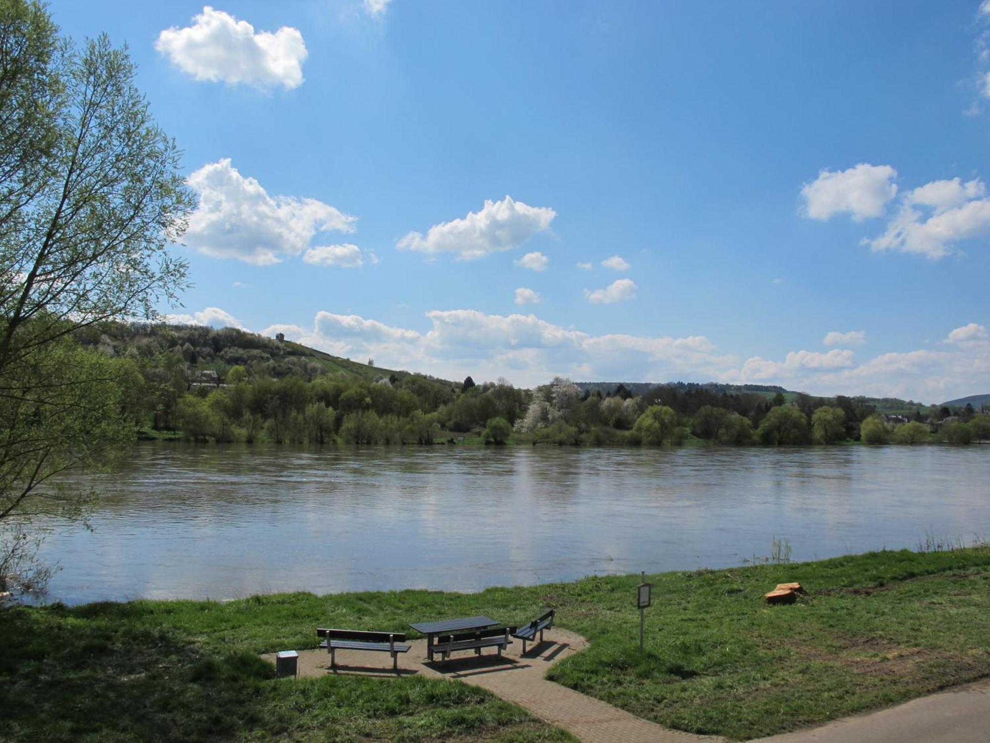 Mosel - River - Quartier 31 利塞尔 外观 照片