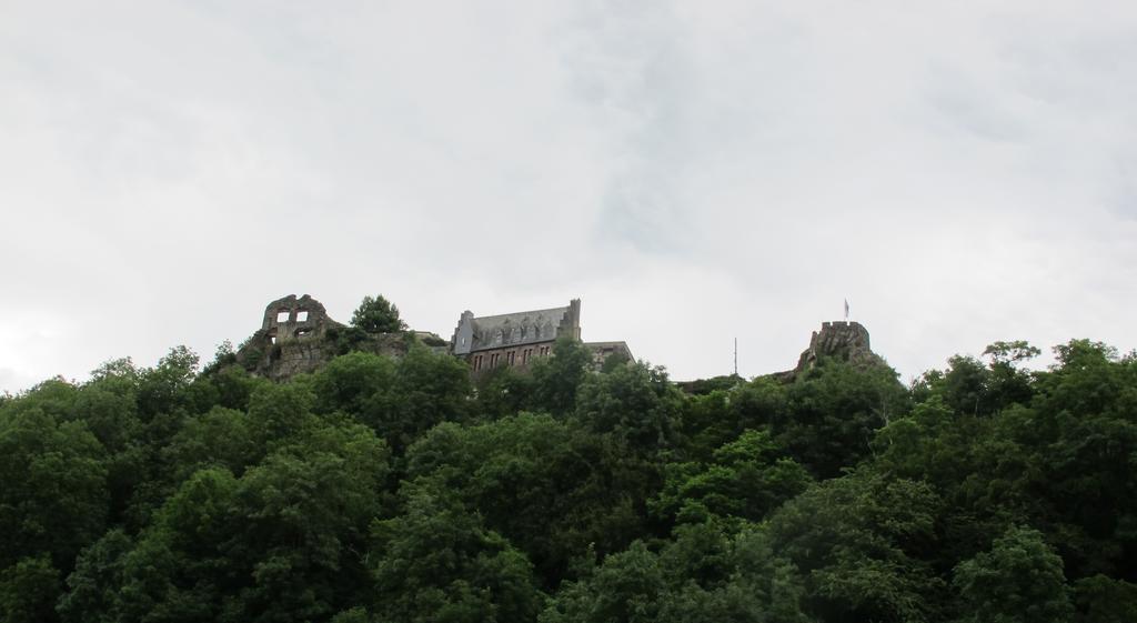 Mosel - River - Quartier 31 利塞尔 外观 照片